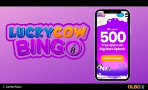 Lucky Bingo Oxbet