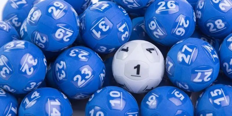 Dàn đề bất tử là gì?