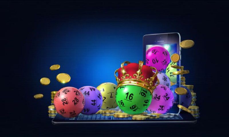 Đề về 55 hôm sau nên đánh con gì theo quy luật ngũ hành